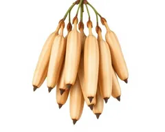 Baobab